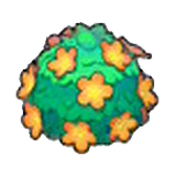 Adorable hedge (orange)