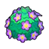 Adorable hedge (purple)