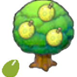 Aspear Seeds