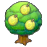 Aspear tree