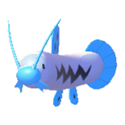 Barboach