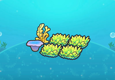 Basin tall grass and coral
