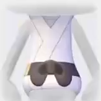 Black Belt Top