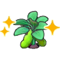 Blooming bean plant (Grow)