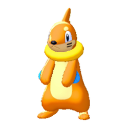 Buizel