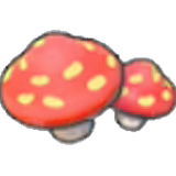 Cave mushrooms