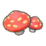 Cave mushrooms (outdoor)