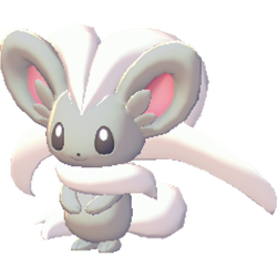 Cinccino