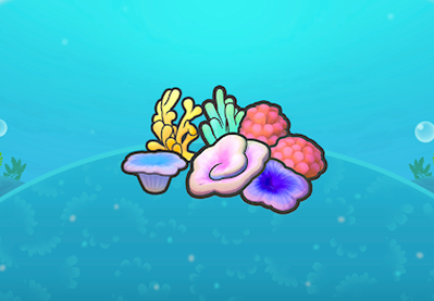 Coral congregation