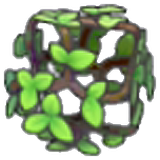 Dense vines