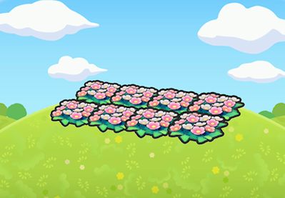 Field of Flowers