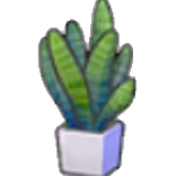 Flat-leaf plant