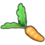 Fresh carrot
