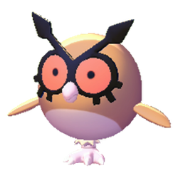 Hoothoot