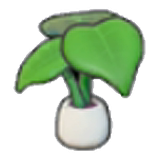 Leafy plant