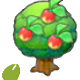 Leppa Seeds
