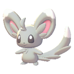 Minccino
