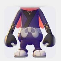 Ninja Outfit
