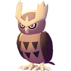 Noctowl