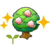 Pecha tree sapling (Grow)