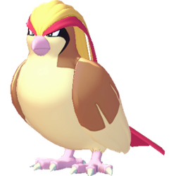 Pidgeot