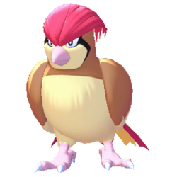Pidgeotto