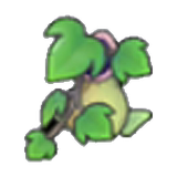 Pitcher-plant pot