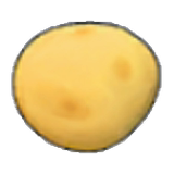 Potato