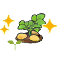 Potato sprout (Grow)