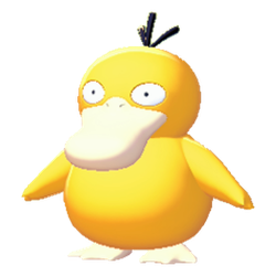 Psyduck