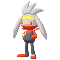 Raboot