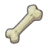 Rare Bone