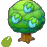 Rawst seeds