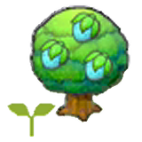Rawst tree sapling