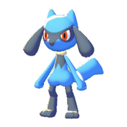 Riolu