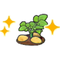 Ripe potato plant (Grow)