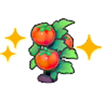 Ripe Tomato plant (Grow)