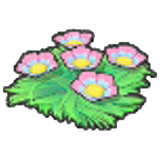 Seabed flower seeds (Pink)