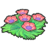 Seabed flower seeds (Red)