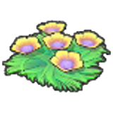 Seabed flower seeds (Yellow)
