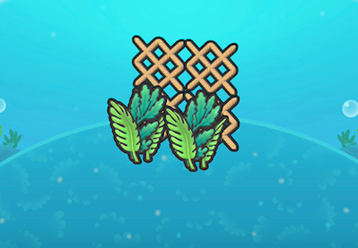 Seaweed and netting