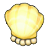Shell lamp