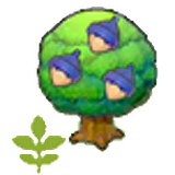 Small Chesto tree