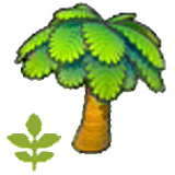 Small palm tree