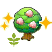Small Pecha tree (Grow)