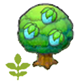 Small Rawst tree