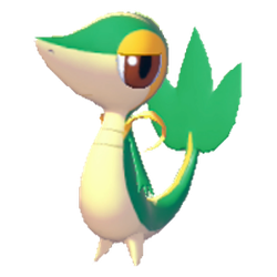Snivy