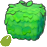 Square-plant seeds