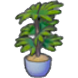 Tall potted plant