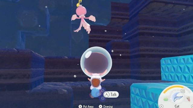 Map 4 - Net Ball: Where to dig
